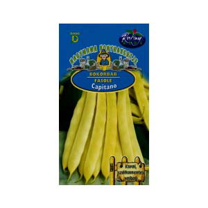 CAPITANO 50g