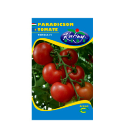 TOMOSA F1