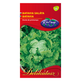 BATÁVIA SALÁTA