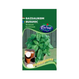 BAZSALIKOM KORONG