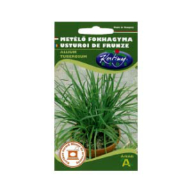 METÉLŐFOKHAGYMA