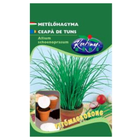 METÉLŐHAGYMA KORONG