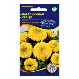 BÁRSONYVIRÁG NAGYVIRÁGÚ ALACSONY, CITROMSÁRGA