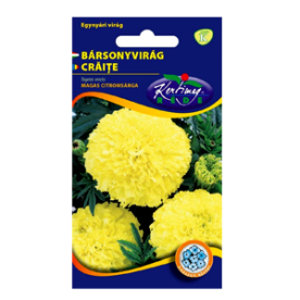 BÁRSONYVIRÁG NAGYVIRÁGÚ MAGAS CITROMSÁRGA