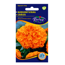 BÁRSONYVIRÁG NAGYVIRÁGÚ MAGAS NARANCSSÁRGA