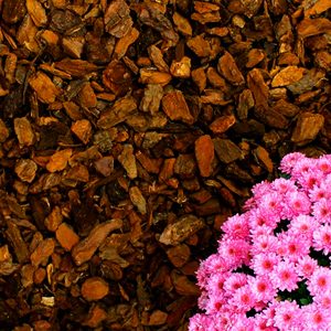 FLORIMO Fenyőkéreg borovi 0,5-30mm 70 l