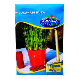 Lucanapi Búza