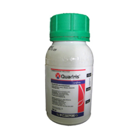 Quadris 0.2 l