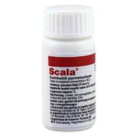 Scala 20ml ampulla