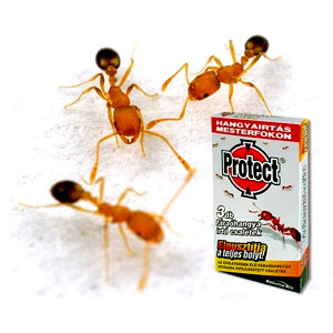 Protect fáraóhangyairtó csali,  3*2,5 g
