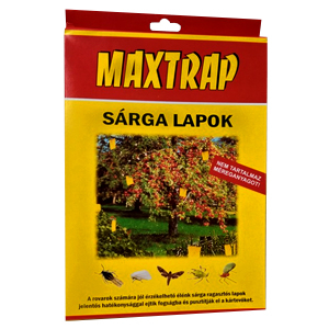 MAXTRAP sárga lap nagy 10db-os 17*24cm