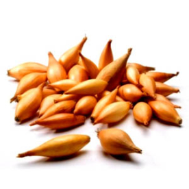 Birnformige / sonkahagyma dughagyma 250g