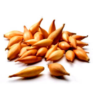Birnformige / sonkahagyma dughagyma 250g