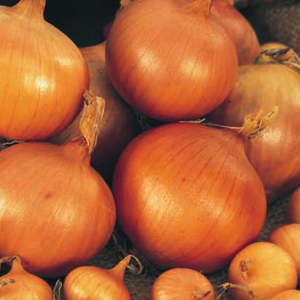 Setton dughagyma 300g