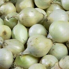 SNOWBALL dughagyma 250g