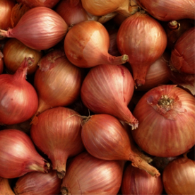 RED SUN salottahagyma 250g(mogyoróhagyma)