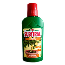 Substral Citrus tápoldat 0,25 l