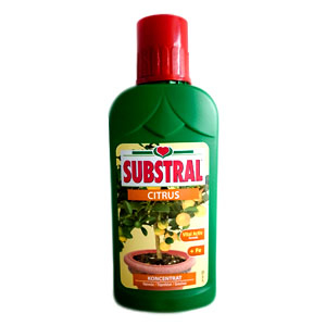 Substral Citrus tápoldat 0,25 l