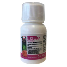 Benevia 50ml