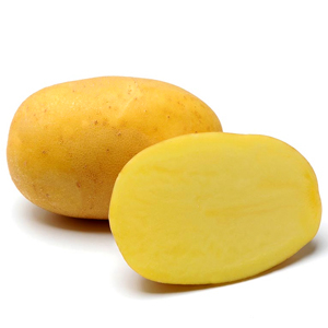 Aromata