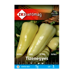 TIZENEGYES ZKI