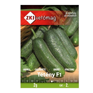 TÉTÉNY F1