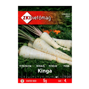 KINGA