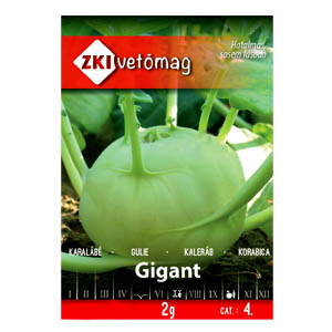 GIGANT