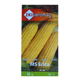 MS Erica
